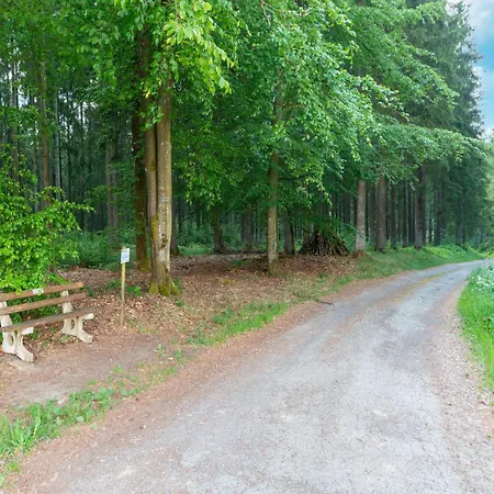 Mansion With Pool & Bar * Bullange/Büllingen